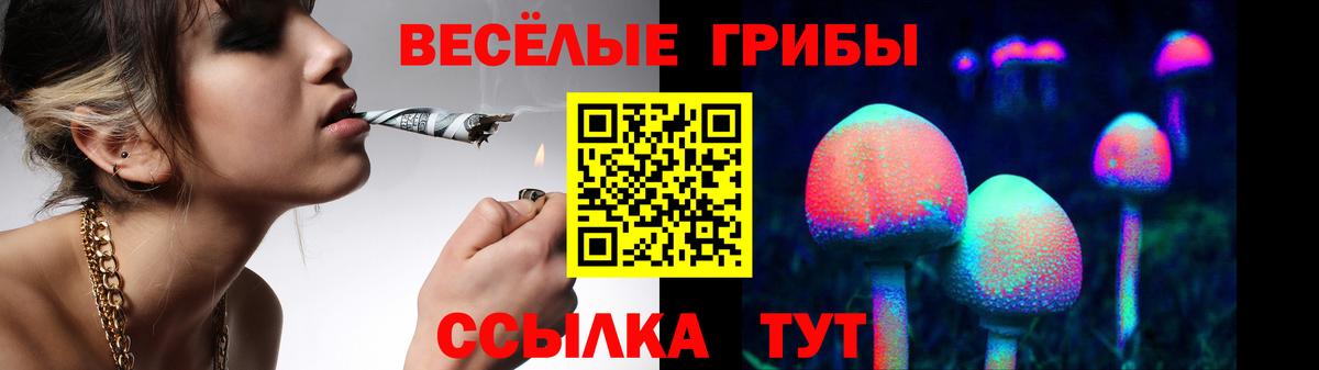 Галлюциногенные грибы мицелий  Псилоцибиновые грибы GOLDEN TEACHER  Жигулёвск  Вход с VPN 