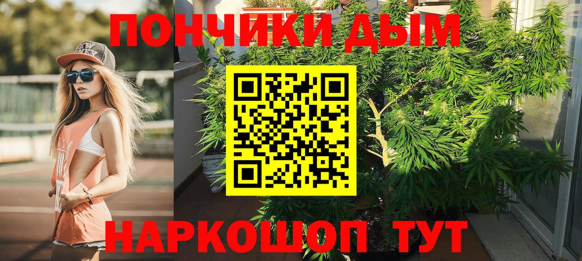 Бошки марихуана ГИДРОПОН Жигулёвск